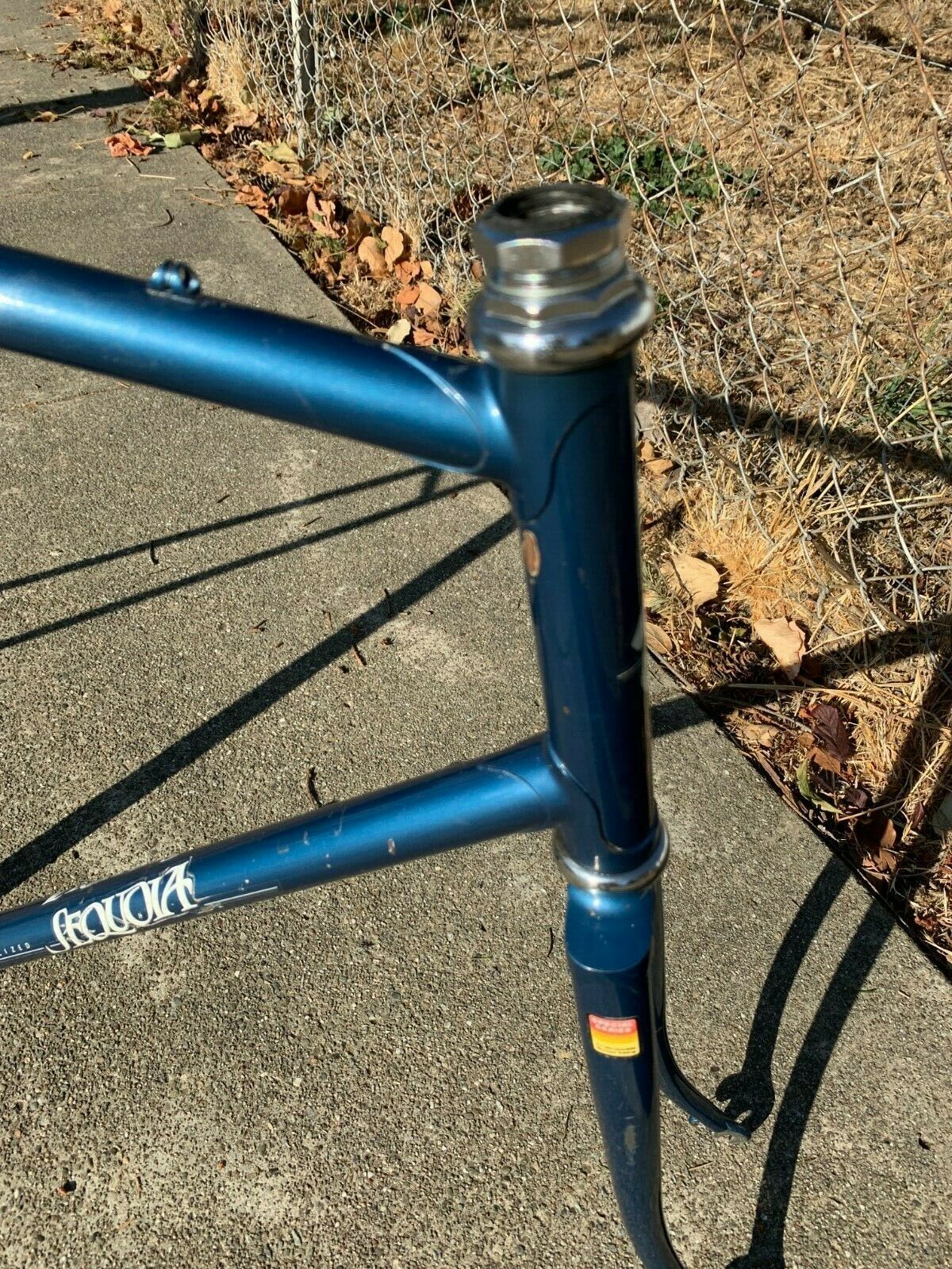 Specialized best sale sequoia vintage